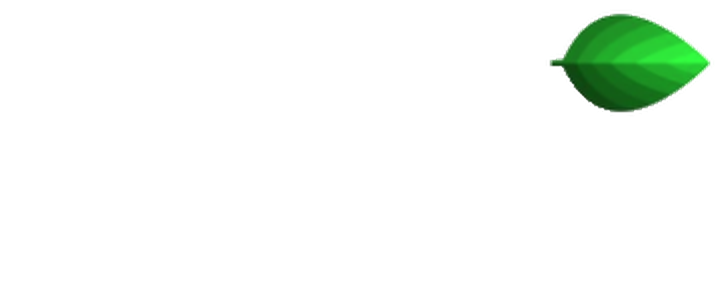 Ida Bella Lymph Drainage